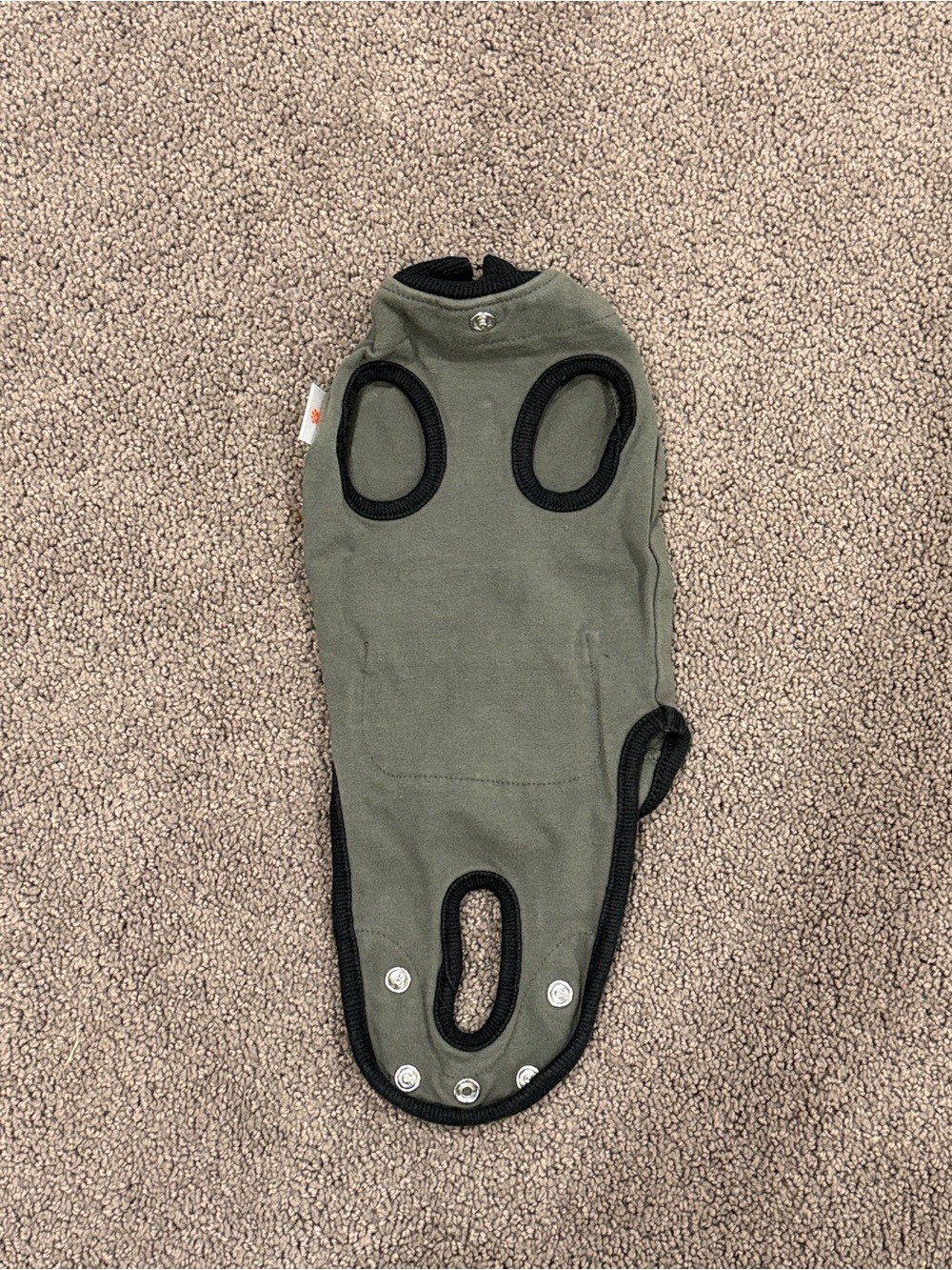 BellyGuard protective suit for dogs, mini size